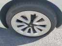 Thumbnail image of 2023 Tesla Model 3 at Delray Buick GMC