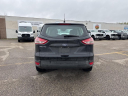 Thumbnail image of 2014 Ford Escape at Lafontaine Ford Grand Rapids