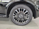 Thumbnail image of 2021 INFINITI QX80 at Lauderdale BMW Of Pembroke Pines - New