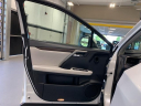 Thumbnail image of 2022 Lexus RX 350 at Lexus of Southampton