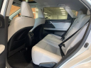 Thumbnail image of 2022 Lexus RX 350 at Lexus of Southampton