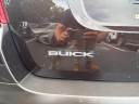 Thumbnail image of 2016 Buick Encore at Richardson Gladwin