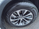 Thumbnail image of 2021 Lexus RX 350 at Gallatin Honda