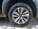 Thumbnail image of 2025 Nissan Pathfinder at LorenzoNissan-New of Ft Lauderdale, FL