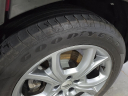 Thumbnail image of 2024 Dodge Hornet at Janssen Chrysler Jeep Dodge Ram