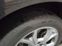 Thumbnail image of 2024 Dodge Hornet at Janssen Chrysler Jeep Dodge Ram