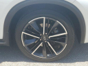 Thumbnail image of 2023 INFINITI QX55 at Infiniti of Fort Myers
