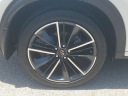 Thumbnail image of 2023 INFINITI QX55 at Infiniti of Fort Myers