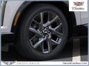 Thumbnail image of 2025 Cadillac OPTIQ at Sarant Cadillac