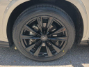 Thumbnail image of 2023 Lexus NX 350 at GermainLexus-New of Naples, FL