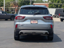 2023 Ford Escape Platinum at Haggerty Ford Used
