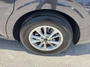 Thumbnail image of 2024 Kia Carnival at Toyota of Hollywood