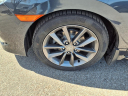 Thumbnail image of 2019 Honda Civic at Andy Mohr Nissan
