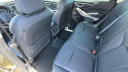 Thumbnail image of 2023 Subaru Forester at Dick Campagni's Capital Ford