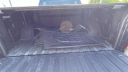 Thumbnail image of 2022 Chevrolet Silverado 1500 at Priority Mitsubishi