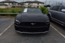 Thumbnail image of 2023 Ford Mustang at Superior Dodge Chrysler Jeep NEW
