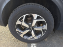 Thumbnail image of 2020 Kia Sportage at Hamilton Honda