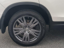 Thumbnail image of 2021 Honda Passport at Jenkins Honda of Leesburg Used