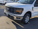 Thumbnail image of 2025 Ford F-150 at CrossroadsFord of Apex - NEW