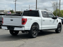 Thumbnail image of 2022 Ford F-150 at Lasco Ford