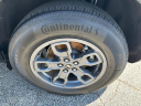 Thumbnail image of 2024 Ford Bronco Sport at George Ballentine Ford Lincoln