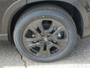 Thumbnail image of 2025 Subaru Ascent at LaFontaine Subaru