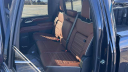 Thumbnail image of 2025 GMC Sierra 2500HD at Gustman Kaukauna NEW