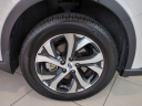 Thumbnail image of 2021 Subaru Outback at MercedesBenzofDaytonaBeach USED