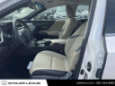 Thumbnail image of 2021 Lexus ES 350 at Stoler Lexus