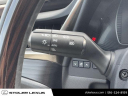 Thumbnail image of 2021 Lexus ES 350 at Stoler Lexus