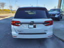 Thumbnail image of 2022 Honda Odyssey at Gallatin Honda