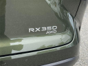 Thumbnail image of 2024 Lexus RX 350 at Lexus of Smithtown