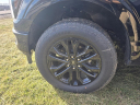 Thumbnail image of 2025 Ford F-150 at Suntrup Ford Westport