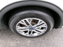 Thumbnail image of 2022 Ford Escape at Hempstead Lincoln Ford