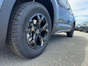 Thumbnail image of 2025 Volkswagen Atlas at Platinum Volkswagen