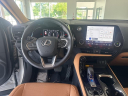 Thumbnail image of 2025 Lexus NX 250 at Johnson Lexus Of Durham