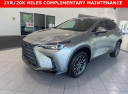 Thumbnail image of 2025 Lexus NX 250 at Johnson Lexus Of Durham