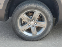 Thumbnail image of 2023 Honda Ridgeline at Serra Honda Brighton