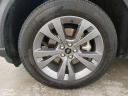 Thumbnail image of 2023 Ford Explorer at Bredemann Ford in Glenview NEW