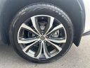 Thumbnail image of 2019 Lexus RX 350 at F C Kerbeck - New and Used