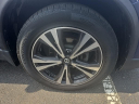 Thumbnail image of 2017 Nissan Rogue at Hamilton Honda