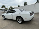 Thumbnail image of 2021 Dodge Challenger at JT's Kia (used)
