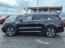 Thumbnail image of 2023 Kia Sorento Hybrid at Kings Kia