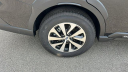 Thumbnail image of 2025 Subaru Outback at Gustman Subaru