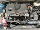 Thumbnail image of 2025 Toyota Camry at Cavender Toyota