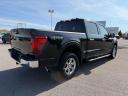 Thumbnail image of 2024 Ford F-150 at Crossroads Chevrolet