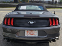 Thumbnail image of 2022 Ford Mustang at OVERDRIVE PERFORMANCE AUTO SALES
