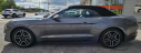 Thumbnail image of 2022 Ford Mustang at OVERDRIVE PERFORMANCE AUTO SALES