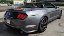 2022 Ford Mustang EcoBoost Premium at OVERDRIVE PERFORMANCE AUTO SALES