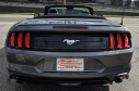 Thumbnail image of 2022 Ford Mustang at OVERDRIVE PERFORMANCE AUTO SALES